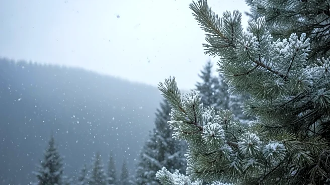 Frisco Faces Back-to-Back April Snowstorms