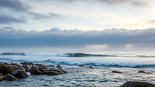 San Francisco Weather: Mild Conditions with Possible Showers