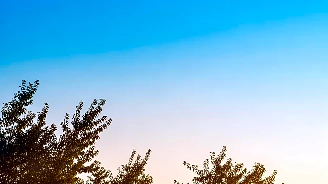 North Charleston Weather: Clear Skies and Mild Temperatures Expected