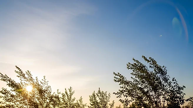 Madison Weather: Clear Skies and Mild Temperatures Expected