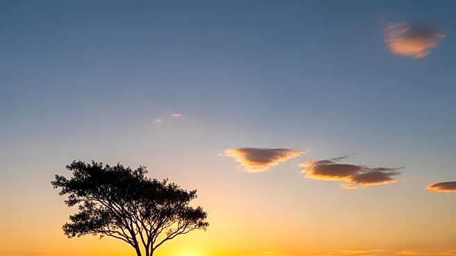 Sacramento Weather Update: Clear Skies and Mild Temperatures Expected