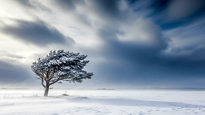 Nor'easter Tracking: Heavy Snow and Winds Expected in Northeast