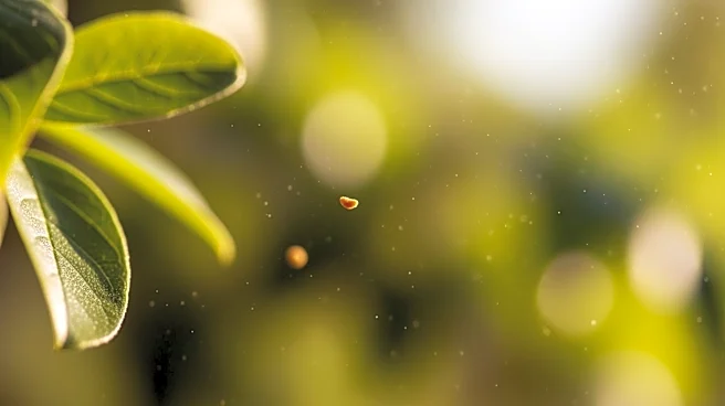 Tree Pollen Alert Issued for Atlanta Amid Rising Levels