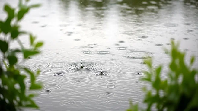 Eugene Weather: Mild Conditions with Light Showers Expected
