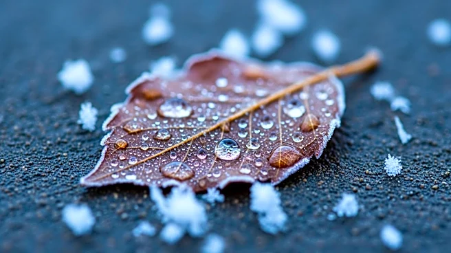 Messy Weather with Rain and Snow to Hit Minnesota