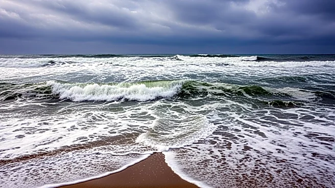 Lake Michigan Beach Advisory Issued Due to High Waves and Rip Currents