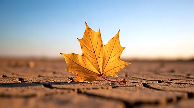 Warm and Dry April Expected in Washington D.C.