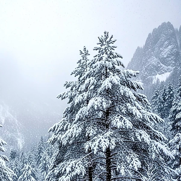 Heavy Snowfall Expected in Oregon's Cascades