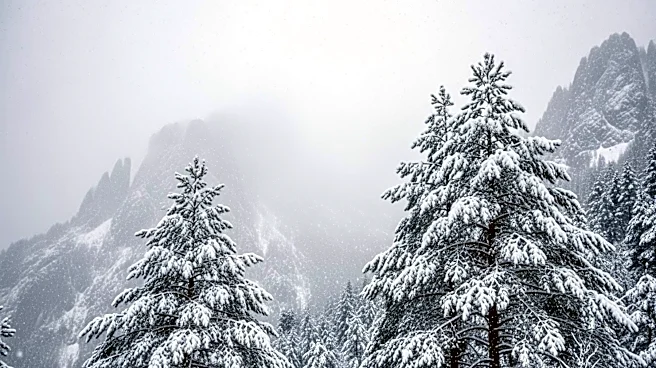 Heavy Snowfall Expected in Oregon's Cascades