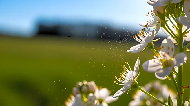 Spring Allergies: Managing Symptoms as Pollen Levels Rise