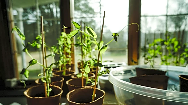 Don’t Plant Too Early: Spring Gardening Tips for 2026