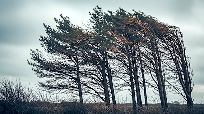 Storm Survey Reveals Straight-Line Winds in Allegheny and Westmoreland Counties