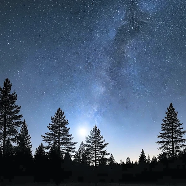 Pine Barrens Night Sky: Clear Skies Expected