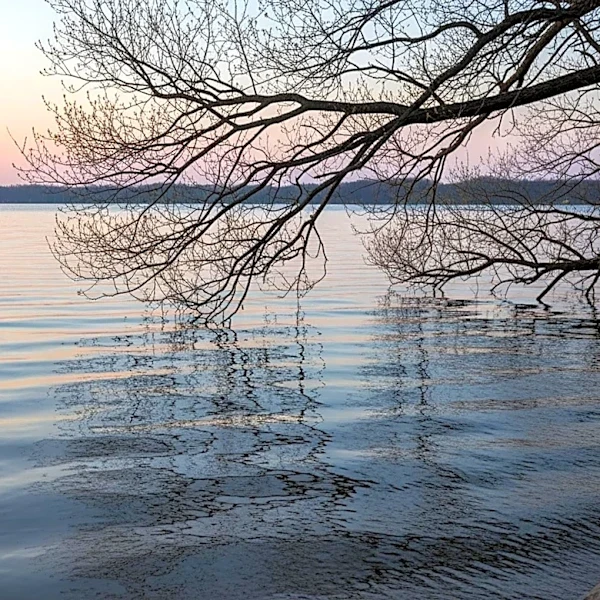 Chicago Experiences Mild Spring Weather Amid Historical Reflections