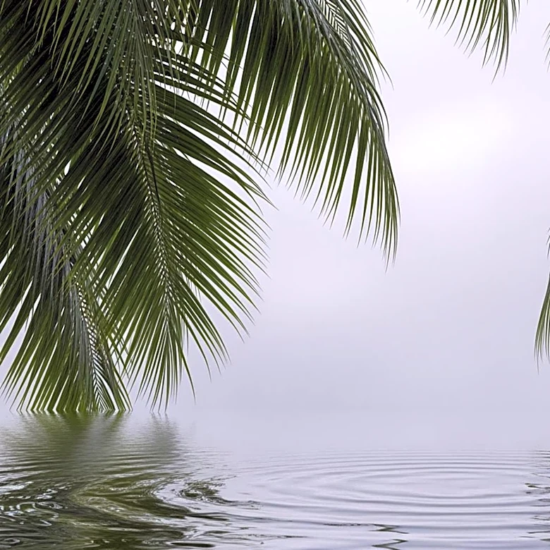 Honolulu Weather: Rain Showers Expected Throughout the Week