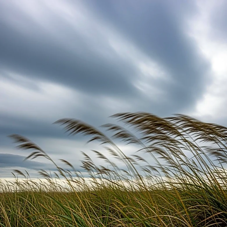 Wind Advisory Issued for Central Indiana
