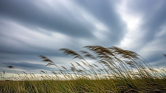 Wind Advisory Issued for Central Indiana