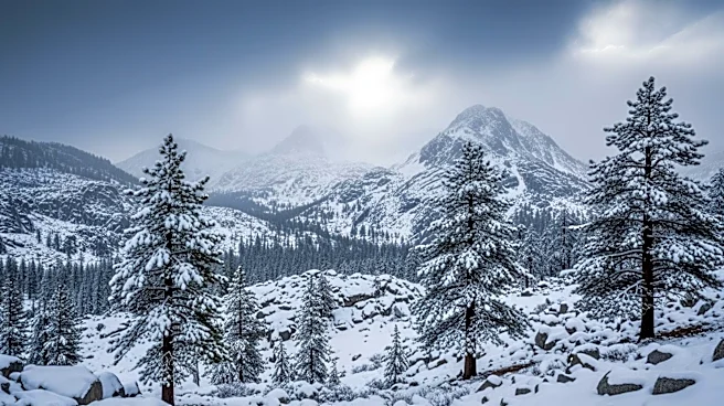 Late-Season Snowfall Hits Sierra Nevada Amid April Storm