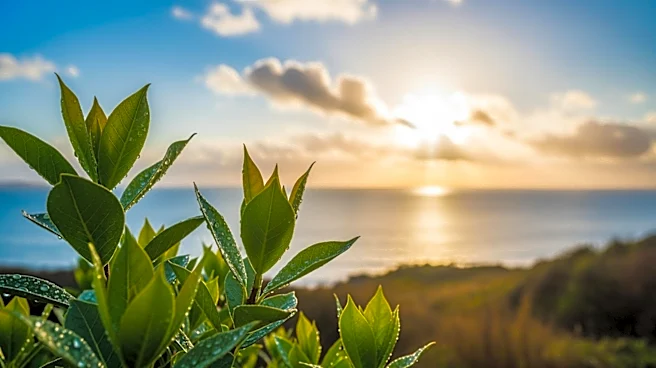 Bay Area Weather: Showers Taper Off, Warm-Up Expected for Easter Weekend