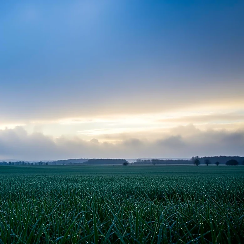 Minnesota Weather Update: Clearing Precipitation and Cloudy Skies Expected