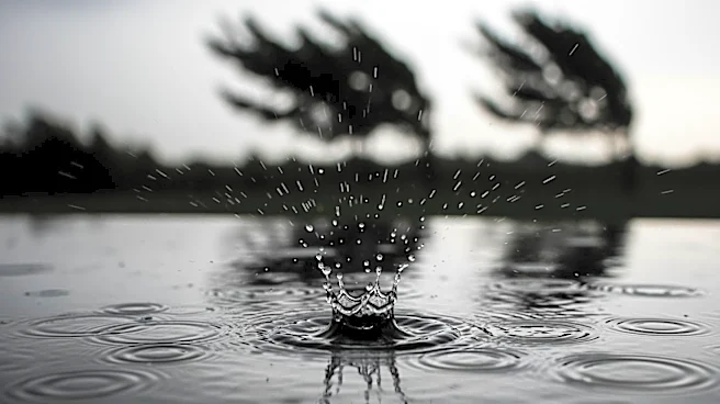 Lewiston Weather: Heavy Rain and Wind Expected This Weekend