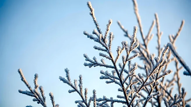 Freeze Warning Issued for Pittsburgh Area Amid Cold Snap