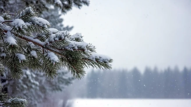 Heavy Snow Warning Issued for Midwest: 24 Inches Expected