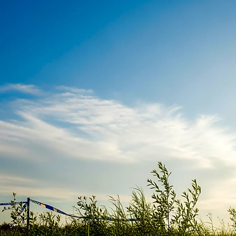 Bloomington Weather: Clear Skies and Mild Temperatures Expected