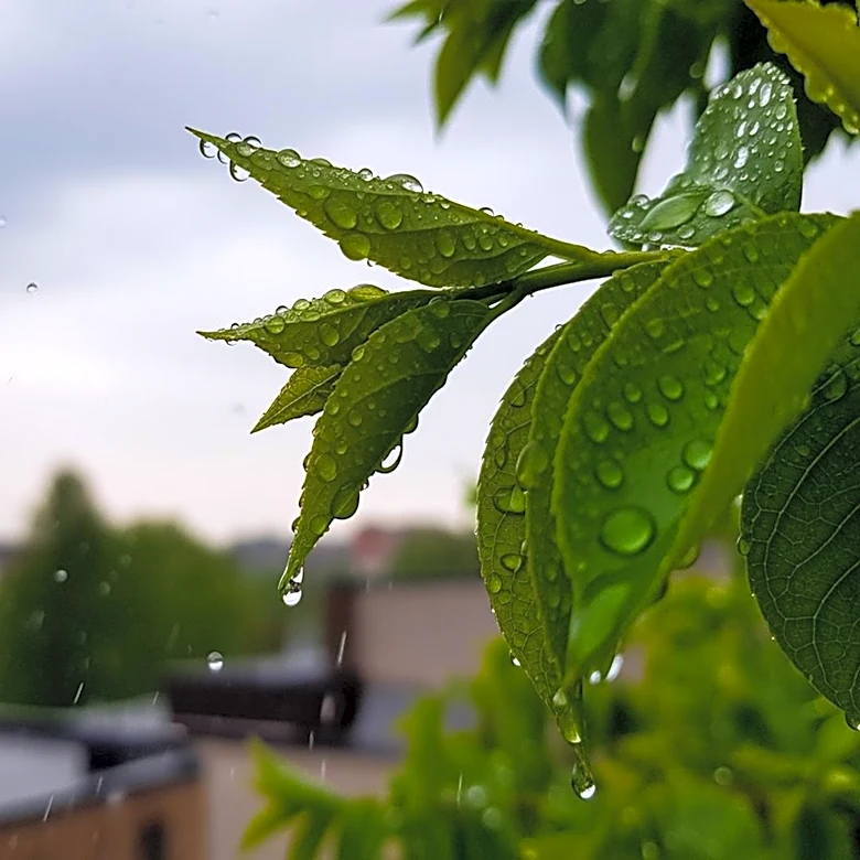 Twin Cities Weather Update: April Showers Expected