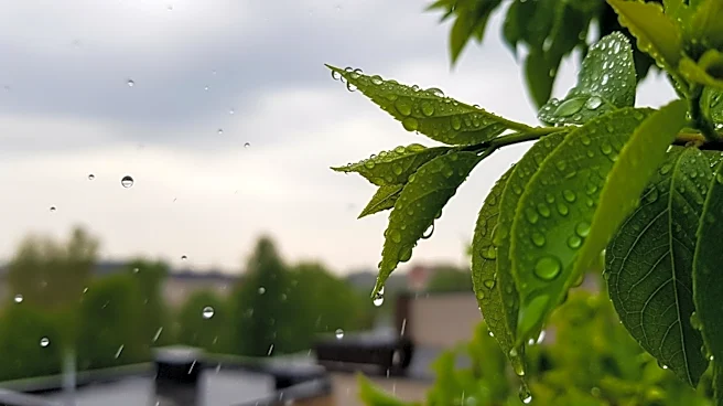 Twin Cities Weather Update: April Showers Expected