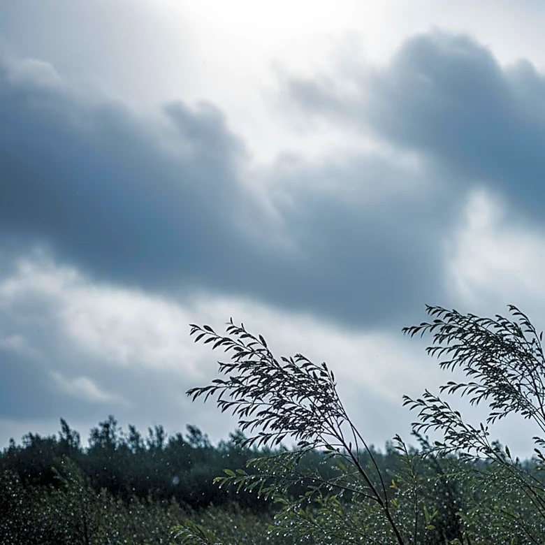 Warwick Weather: Rain and Wind Expected Over Weekend