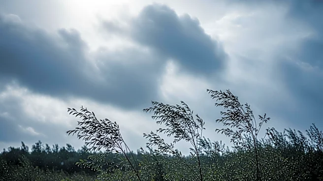 Warwick Weather: Rain and Wind Expected Over Weekend