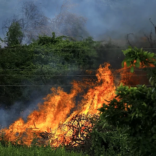 From Florida to Plains: Wildfire Activity Surges Across US in Early 2026