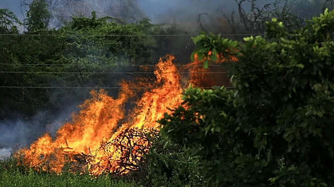 From Florida to Plains: Wildfire Activity Surges Across US in Early 2026