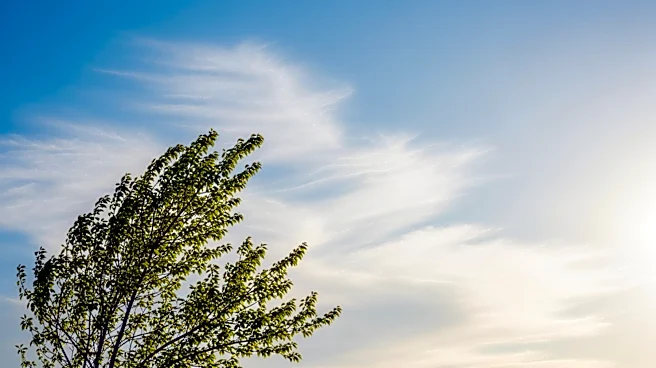 Lincoln Weather: Clear Skies and Mild Temperatures Expected