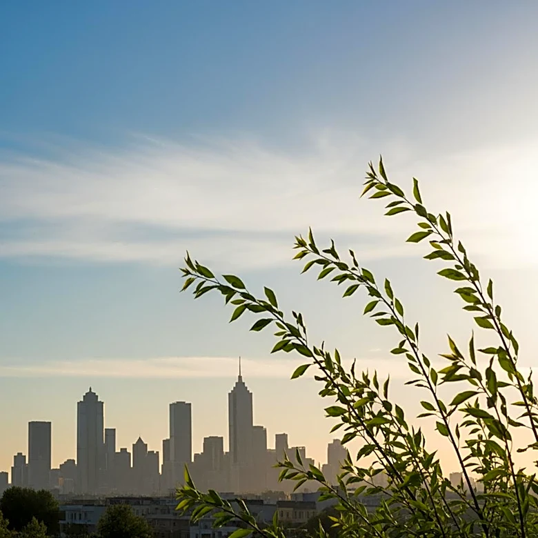 Philadelphia Weather: Clear Skies and Mild Temperatures Expected