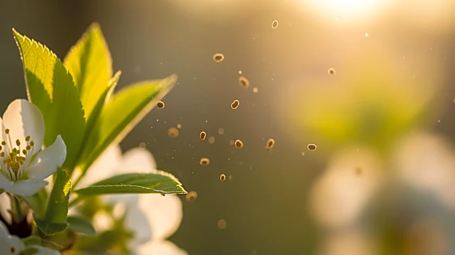 Longer Allergy Season Begins: Managing Symptoms Amid Rising Pollen Levels