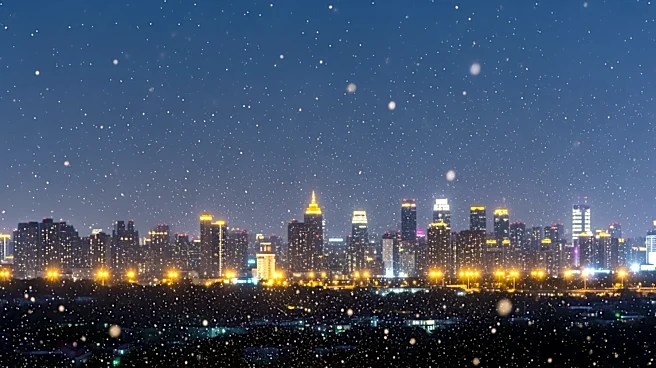 Artificial City Lights Extend Pollen Allergy Season in Northeastern U.S.