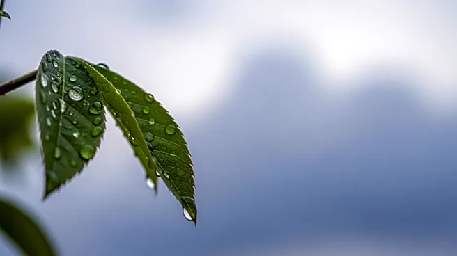 Baltimore Weather: Mild Conditions with Possible Showers