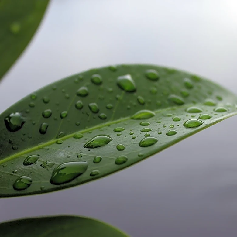 Rainy Easter Sunday Expected in Philadelphia Area