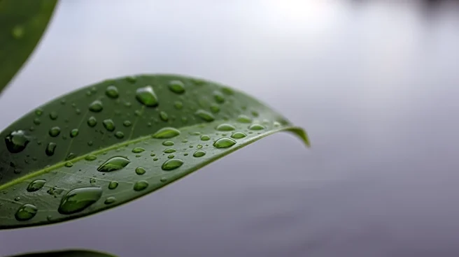 Rainy Easter Sunday Expected in Philadelphia Area