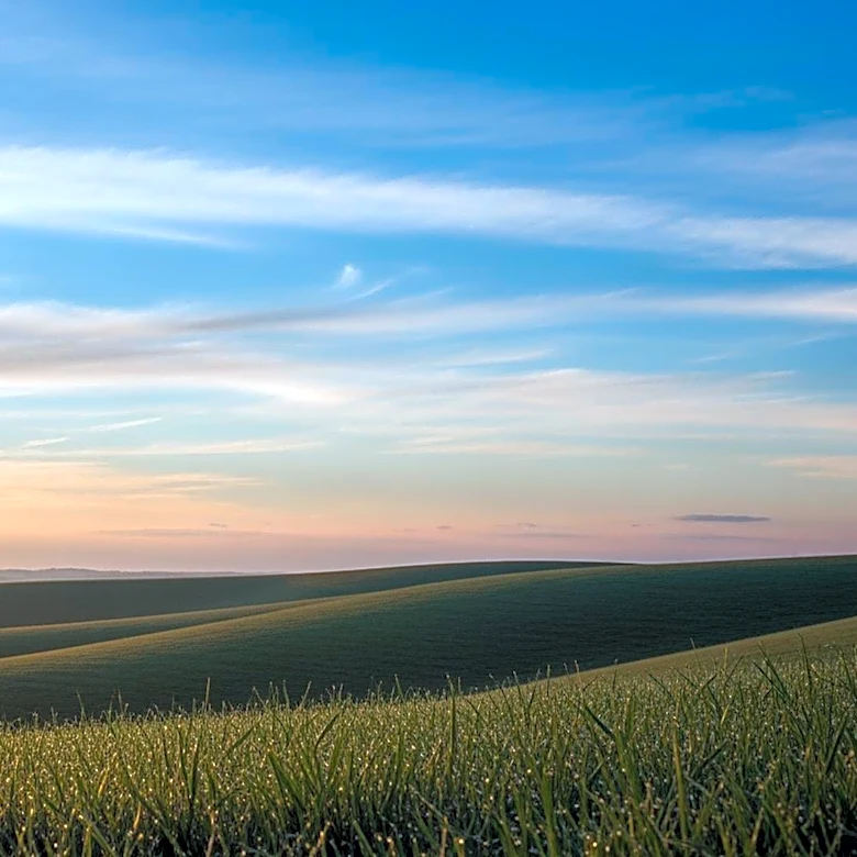 Kansas City Weather Update: Mild Conditions Expected This Week