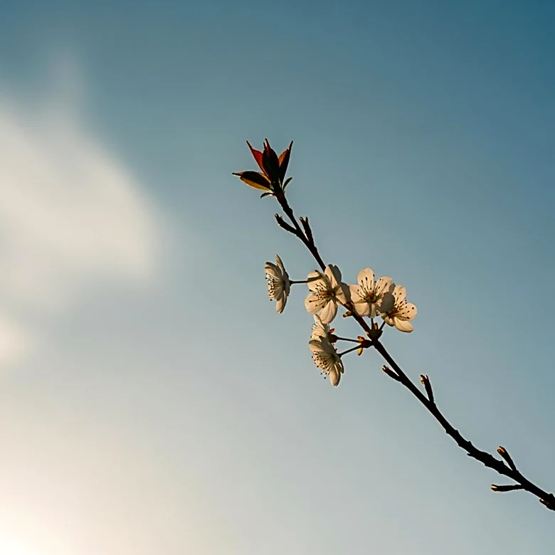Warm Weather Returns to Maryland This Weekend