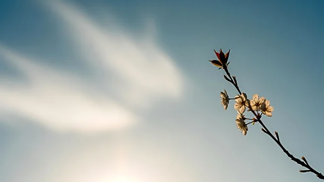 Warm Weather Returns to Maryland This Weekend