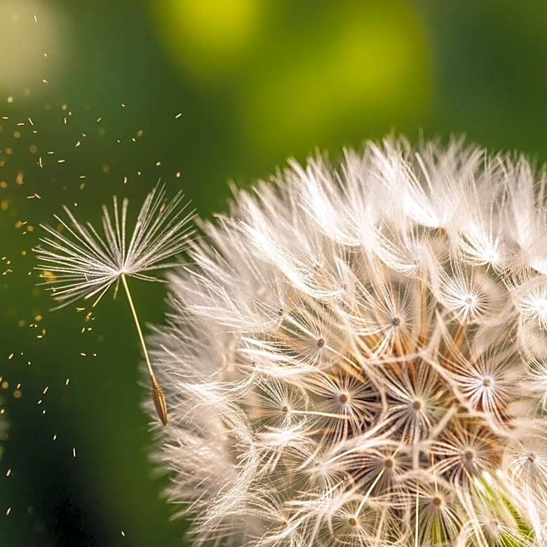 High Pollen Count Expected in the United States