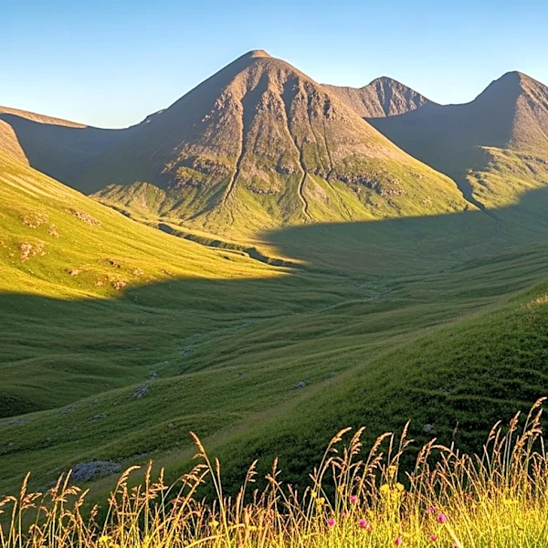 Sunny Day in Cairngorms: A Rare Break from Cloudy Weather