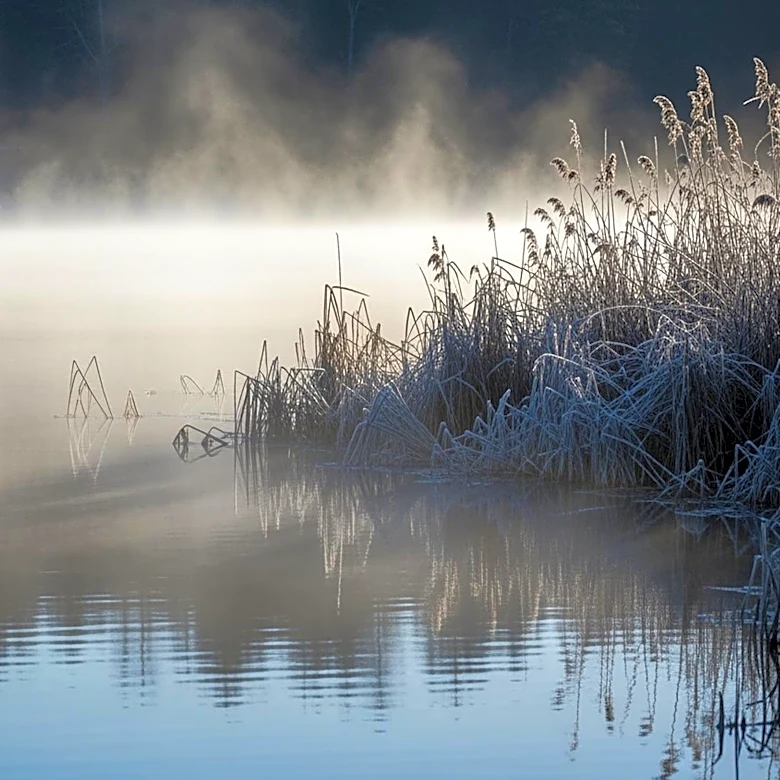 Chicago Lake-Effect Chills Expected This Weekend