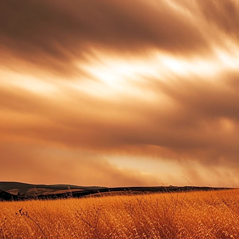 Brush Fire in Moreno Valley Burns Over 4,000 Acres Amid Santa Ana Winds