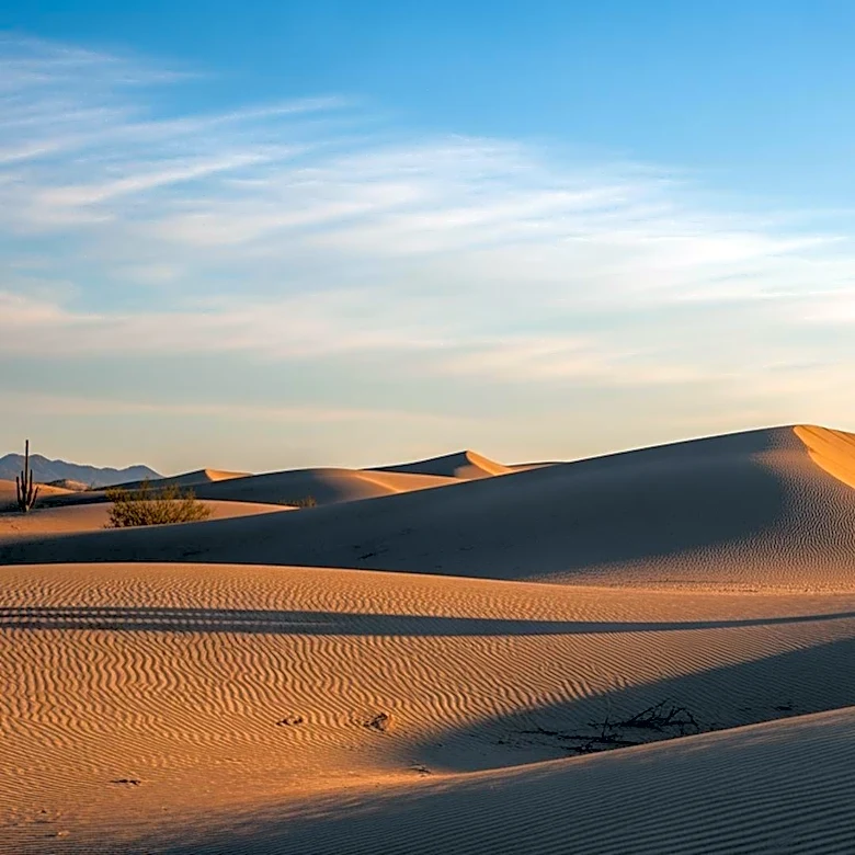 Phoenix Weather Forecast: Clear Skies and Mild Temperatures Expected