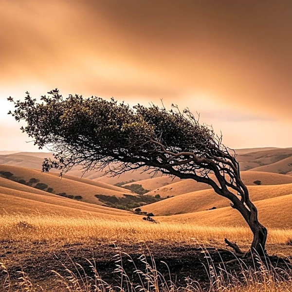 Southern California Faces Santa Ana Winds and Fire Risks